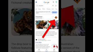 Google Easter Egg  Drop Bear Google Easter Egg  Drop Bear Google  2024 [upl. by Devlin80]