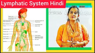 Lymphatic System  Hindi   Lymph  Lymph Nodes  Lymph Vessels  Introduction to Lymphatic System [upl. by Victor]