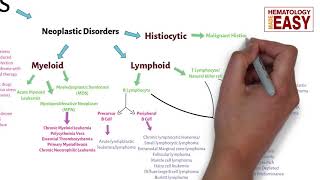 WBC Disorders ClassificationLeukocytosisLeukopeniaLeukemiaLymphoma [upl. by Aicilla505]