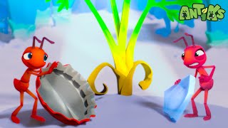 The Ants Have A NEW PLAN  Antiks 🐜  Action Cartoons For Kids [upl. by Drice]