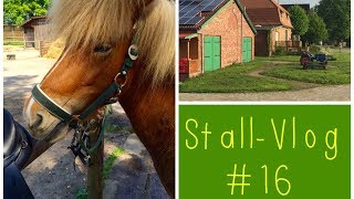 Reiten bei Schietwetter  Meine Reithosen amp Gelassenheitstraining Stall Vlog 16 [upl. by Ulrika]