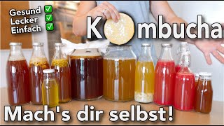 Kombucha  Anleitung amp alles was du wissen musst [upl. by Fenn]