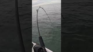 30 Miles Offshore on a SEADOO for THIS Fish fishing fish outdoors [upl. by Bidget]