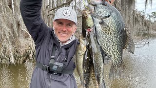 Jigging Crappie on Cypress Trees CATCH and COOK [upl. by Borek]