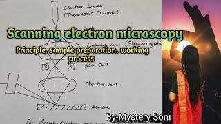 BScMSc Scanning electron microscopy for plant protoplast cells and tissues [upl. by Nashoma146]