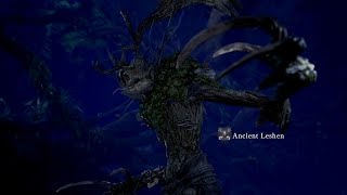 The Witcher 3 Ancient Leshen Theme Extended 1 hour [upl. by Felton]