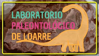 🦕LABORATORIO PALEONTOLÓGICO DE LOARRE  Descubriendo huevos de dinosaurio [upl. by Lovell]