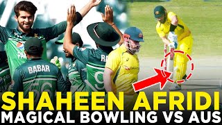 Shaheen Afridi’s Fiery Bowling  Takes 4 Wickets Against Australia  2nd ODI  PCB  MM2K [upl. by Kcarb]