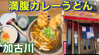 加古川市 少食の方は食べきれないかも さぬきうどん さくらや❣️ [upl. by Hanikas]