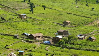 Very Happy People in Nepali Rural Village  Peaceful Nepali Village Lifestyle  IamSuman [upl. by Landing]