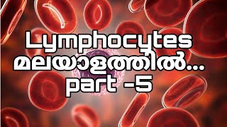 Lymphocytes Malayalampart5 [upl. by Emyle]