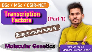 Transcription Factors  Promoters Enhancers Repressors  हिंदी में  BSc MSc CSIRNET [upl. by Leatri842]