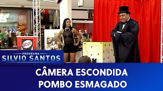 Pombo Esmagado  Câmeras Escondidas 140421 [upl. by Yelrebma908]