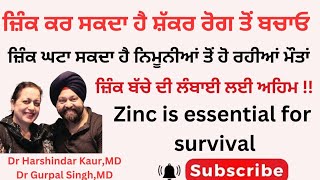 Zinc is essential for survival ਜ਼ਿੰਕ ਬੱਚੇ ਦੀ ਲੰਬਾਈ ਤੋਂ ਲੈ ਕੇ ਹਰ ਰੋਗ ਤੋਂ ਕਰਦਾ ਹੈ ਬਚਾਓ 161 [upl. by Ashil]