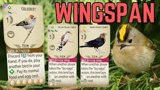 Amazing Goldcrest Game Wingspan Board Game Strategy amp Gameplay [upl. by Nole828]