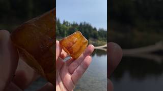 Gorgeous Junk of Carnelian Agate Greatness rockhounding agate carnelian shorts nature [upl. by Dominga]