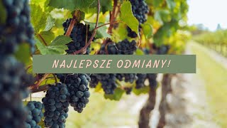 NAJLEPSZE ODMIANY WINOGRON 🍇 Odporne na choroby i smaczne [upl. by Cagle635]