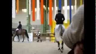 Marcus Ehning Cornado training paddock Saut Hermès 2014 [upl. by Ebag]