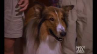 The New Lassie Season 2 Eps16 [upl. by Hobie]