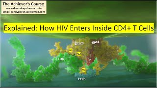 Integrated Learning HIV Entry Inside CD4 Cells Explained Pictorially [upl. by Crescen]