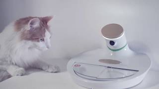 Mookie AI Powered Pet Bowl [upl. by Nesline]