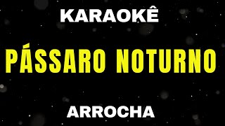 Karaokê de Arrocha  Pássaro Noturno [upl. by Tristis]