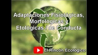 Tipos de Adaptaciones  Fisiológicas Morfológicas y de Conducta [upl. by Tenaj559]