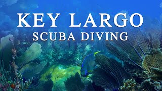 Epic Ocean Life  Scuba Diving in Key Largo FL [upl. by Ahiel]