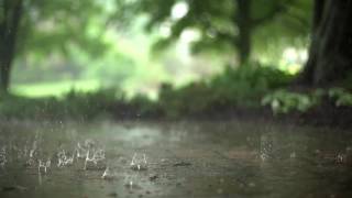 1 Hour Rain amp Thunderstorm Sounds  Relaxing Storm Ambience [upl. by Seem]