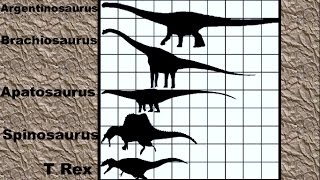 Dinosaur Size Comparison 2D [upl. by Lucila]