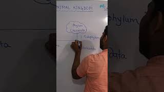 3 Subphylum of Phylum Chordates by ak sir AfzalKarimOfficial [upl. by Mal]