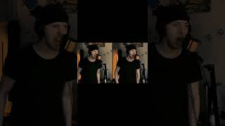 Linkin Park  Faint vocal cover pt1 artmartvoice [upl. by Gupta250]