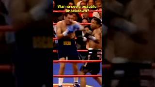 Want to see a beautiful knockdown in a boxing match delahoya boxing [upl. by Tserrof]