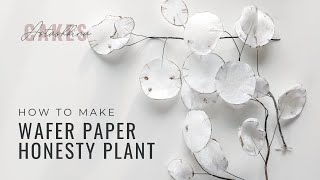 How to make wafer paper honesty plant money plant lunaria  Florea Cakes [upl. by Eenitsed764]