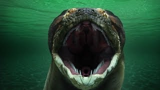 Titanoboa Monster Snake Full Episode [upl. by Ykcin]