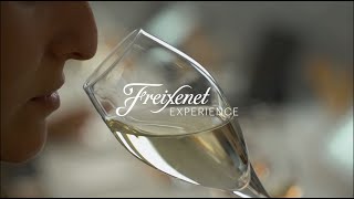 Visita las cavas Freixenet  VisitFreixenet [upl. by Laerol]