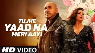 Royi Na Je Yaad Meri Aayi Ve Full Song Royi Na Je Yaad Meri Aayi Ve Dj Royi Na Song [upl. by Hgiel119]