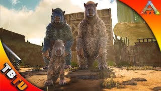 SCORCHED EARTH MEGATHERIUM TAMING AND BREEDDING ARK Survival Scorched Earth Gameplay [upl. by Lavern830]