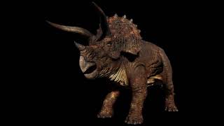 Triceratops Horridus Custom Sounds JP part 3 [upl. by Ailehpo244]