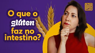 Glúten é ou não é inflamatório [upl. by Nahttam989]