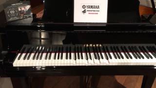 Yamaha Disklavier Enspire demo [upl. by Adnahsed179]