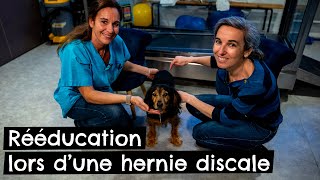 Rééducation lors d’une hernie discale  🐶 [upl. by Bogart]