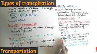 Transpiration And Its Types  Stomatal Lenticular And Cuticular Transpiration  Class 11 [upl. by Melissa]