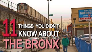 11 Things You Didnt Know About THE BRONX [upl. by Ranee90]