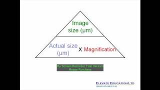 How to calculate magnification [upl. by Leontyne]