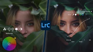 Color Grading in Lightroom like a PRO Colorist [upl. by Ilenna]