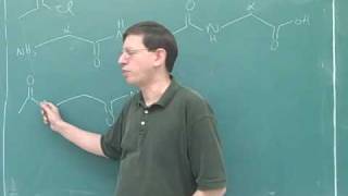 Organic chemistry Amino acids and peptides 13 [upl. by Cirdor]