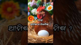 ଅଣ୍ଡାଆମିଷ ନା ନିରାମିଷ  Egg Veg or Non Veg  RAZA NANDA [upl. by Nodnol]