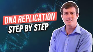 6 Steps of DNA Replication [upl. by Armond773]