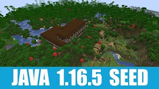 Minecraft Java 1165 Seed Woodland mansion with village and blacksmith in the jungle at spawn [upl. by Ahsinahs]